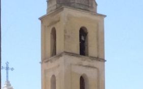 Cinghiale Bianco
